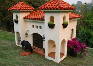 Charleston Dog House - Doggy Daycare near Park Circle - Real Deal with Neil