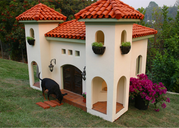 dog house daycare