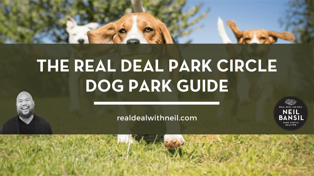 The Real Deal Park Circle Dog Park Guide - The Real Deal with Neil - Park Circle Realtor