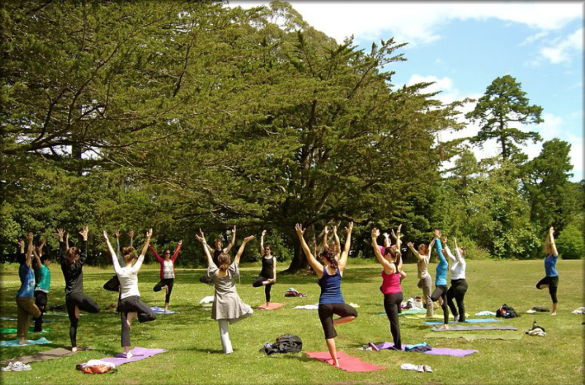 outdoor yoga class