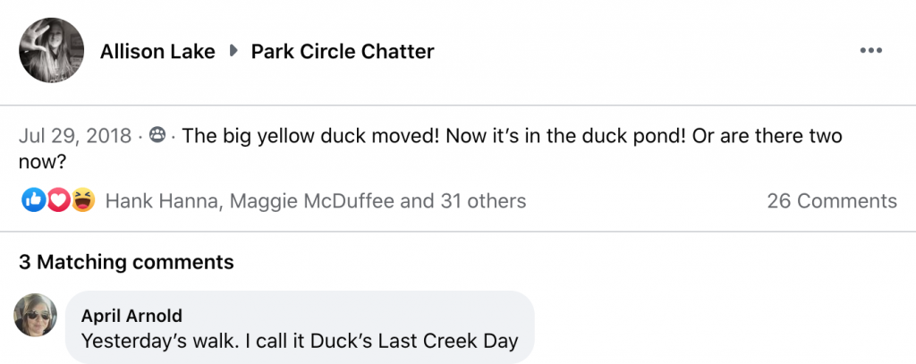 03 - Park Circle Duck - Confusion - July 29 2018 - Allison Lake