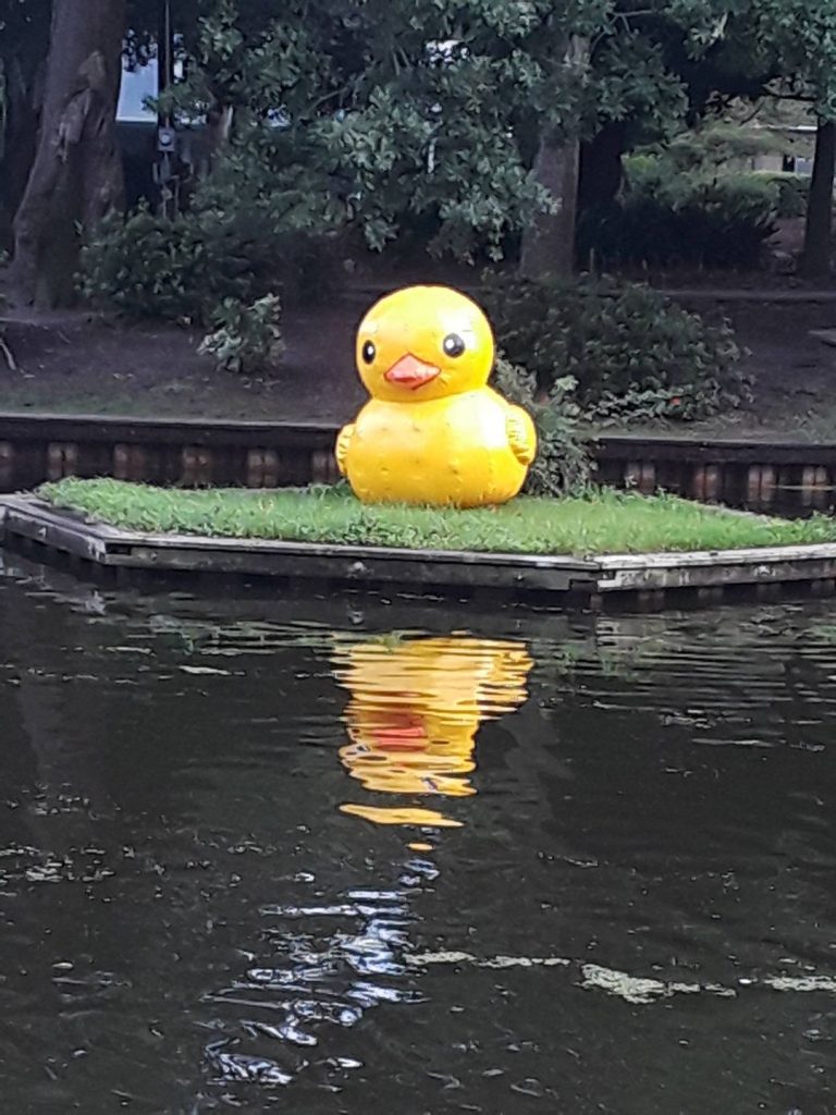 05 - Park Circle Duck - Duck Pond - July 30 2018 - Pam Salisbury