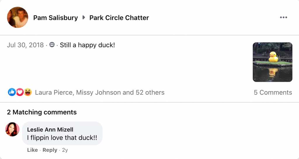 05b - Park Circle Duck - Duck Pond - July 30 2018 - Pam Salisbury