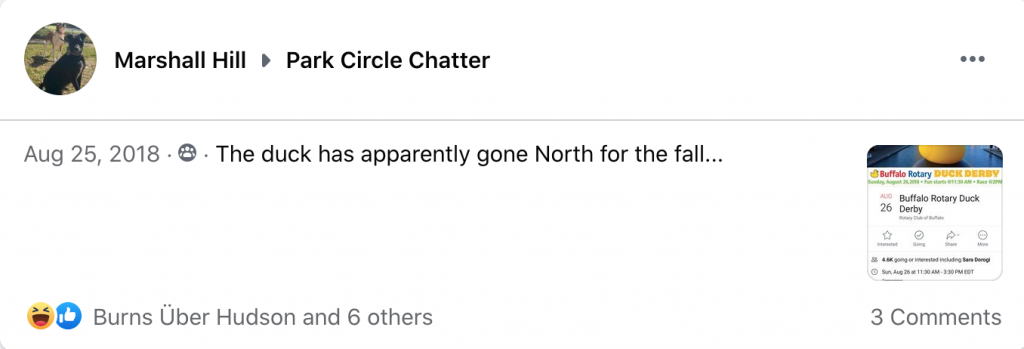 07a - Park Circle Duck - Gone North - Aug 25 2018 - Marshall Hill