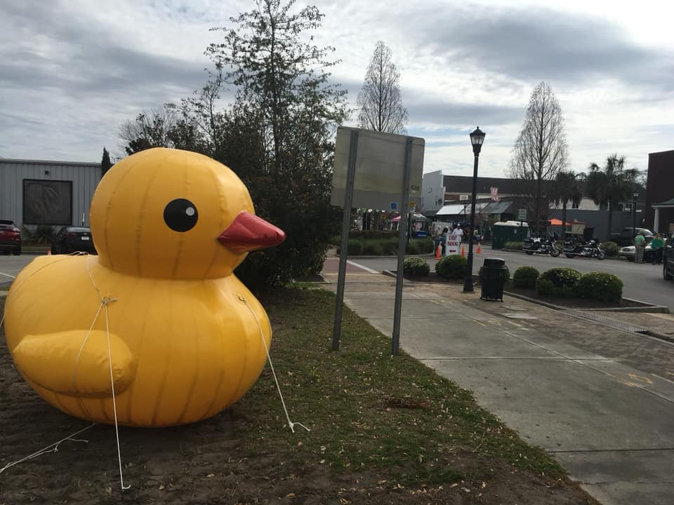 11a - Park Circle Duck - St Paddys Day - March 9 2019 - Kirk Lindgren