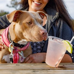 Adopt & Shop at Firefly Distillery