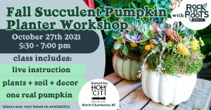 Fall Succulent Pumpkin Planter Workshop