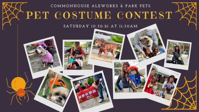 Pet Costume Contest at Commonhouse Aleworks
